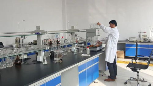 東營(yíng)港經(jīng)濟(jì)開發(fā)區(qū) 以企業(yè)技術(shù)改造為抓手，驅(qū)動(dòng)產(chǎn)業(yè)轉(zhuǎn)型升級(jí)與技術(shù)開發(fā)新突破