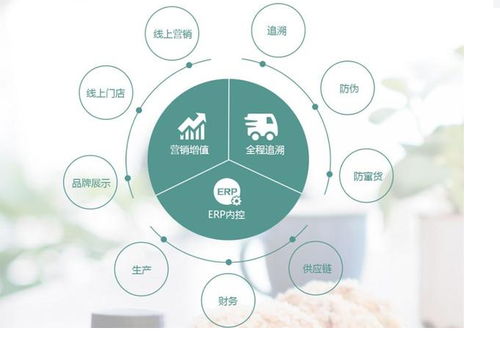 食品貨源追溯系統(tǒng)與防竄貨溯源 全國(guó)315產(chǎn)品防偽查詢中心的信息咨詢指南